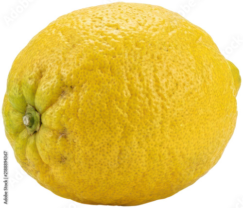 Fresh yellow lemon fruit on black.