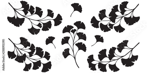 Title: Ginkgo Biloba Branch Leaves Silhouette Vector Set