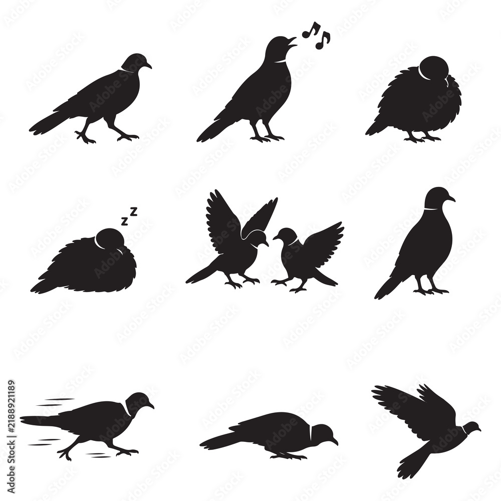 Fototapeta premium Pigeon and Dove Silhouettes Showing Various Activities and Natural Poses