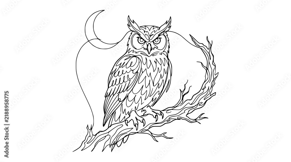 Obraz premium Detailed Line Art Owl Perched on Branch with Crescent Moon