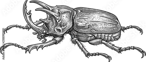 Принти на полотні Detailed Engraving of a Rhino Beetle on Transparent Background