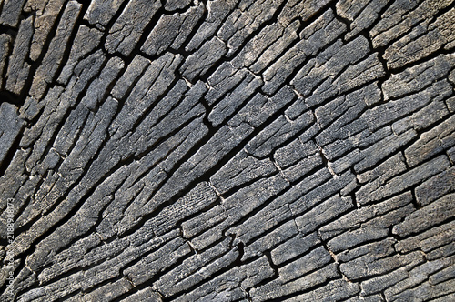 Bild auf Leinwand Natural burned wooden background