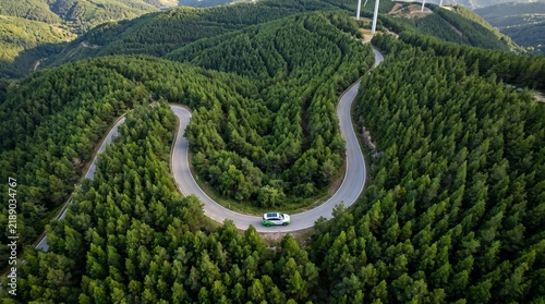 Curved Forest Road Cutting Through Emerald Pine Wilderness