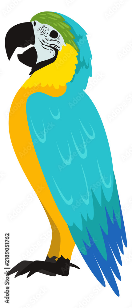 Fototapeta premium Parrot cartoon icon. Exotic tropical bird animal