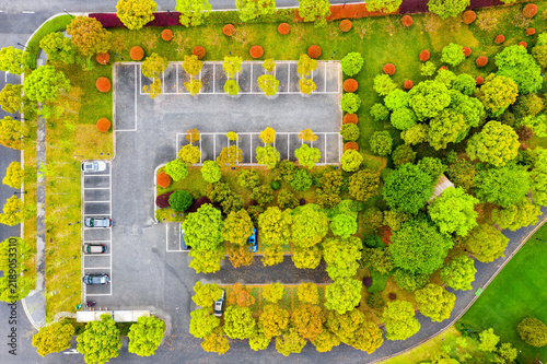 Aerial Parking Lot View with Green Trees and Vegetation