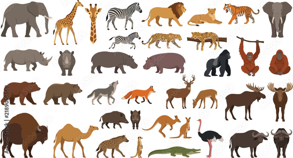 Obraz premium Diverse Wild Animals Collection in Stylized Vector Illustration on White Background