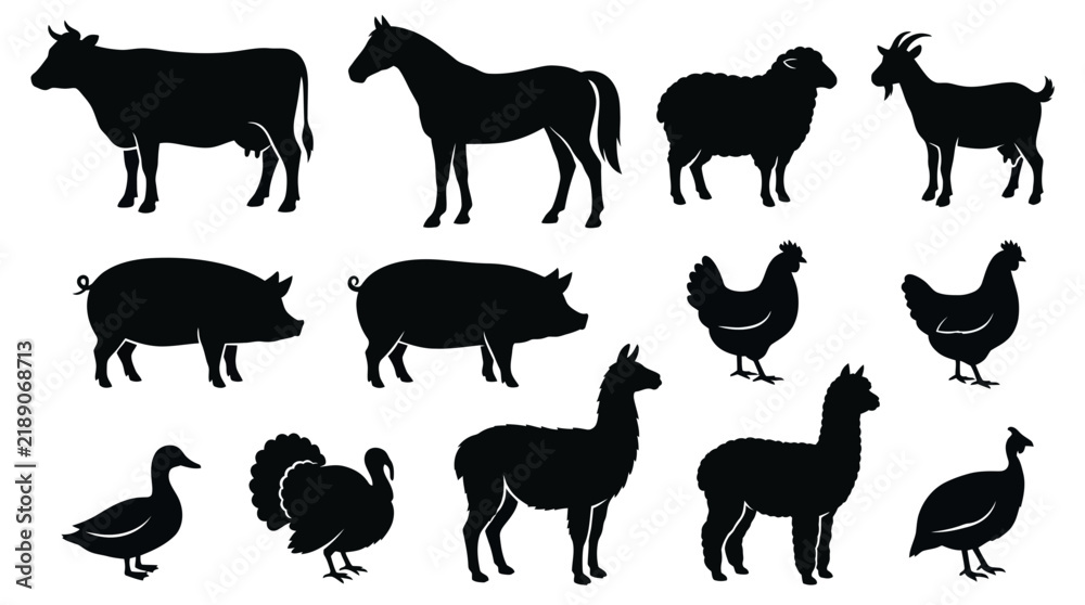 Fototapeta premium Black silhouettes of common farm and livestock animals