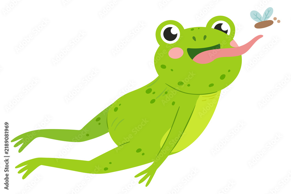 Fototapeta premium Frog catch flies. Fast jumping cute animal