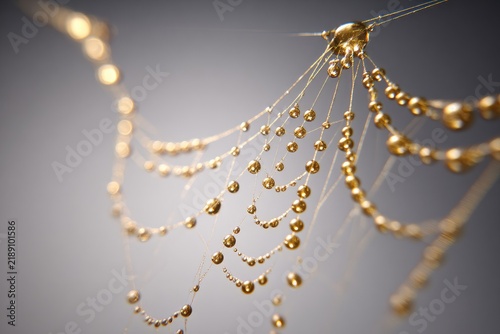 Golden liquid droplets forming a spiderweb-like structure against a muted gray background