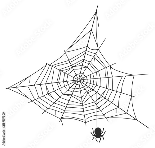 Cuadro en lienzo Abandoned cobweb with hanging spider. Black net silhouette