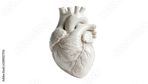 Anatomical heart-shaped ceramic vase with detailed veins, isolated on transparent background