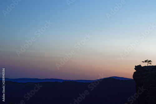 Obraz na plátně Lonely pine tree on a rock after sunset in the blue hour with negative space