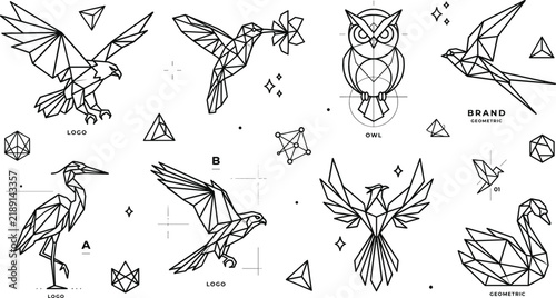 Geometric bird line art logo set eagle hummingbird owl heron falcon phoenix swan polygon vector outline illustration