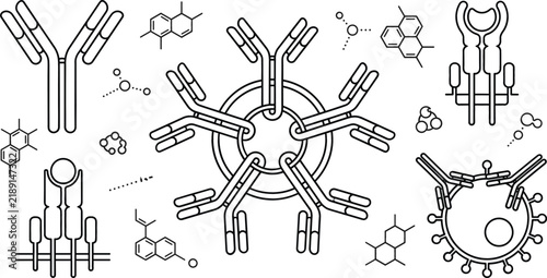 Antibody line art set immunoglobulin pentamer receptor molecule cell immune system vector outline black white illustration