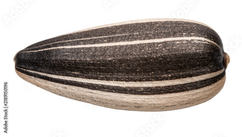 Striped black and white sunflower seed, isolated on transparent background