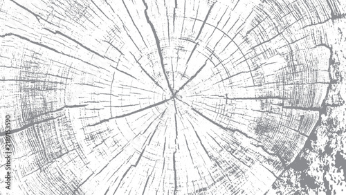 Monochrome wood texture with detailed growth rings and cracked surface Abstract tree trunk section with rough radial cracks and growth rings