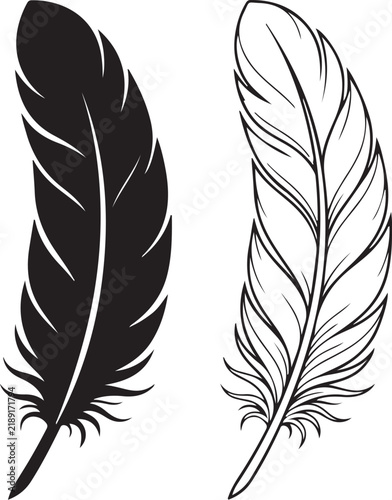 Feather illustration set featuring solid black and detailed line art on transparent base.