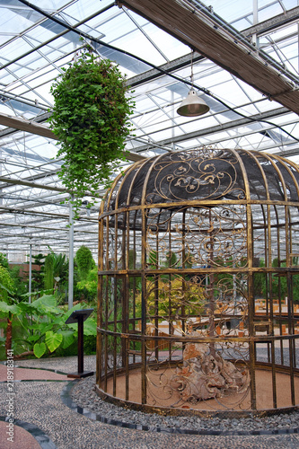 Bild auf Leinwand Ornate Birdcage in a Lush Greenhouse Conservatory