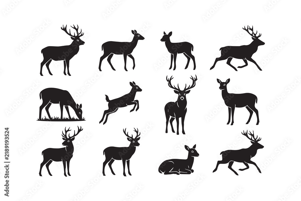 Obraz premium vector set of deer