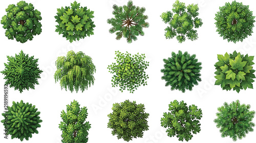 Top view tree vector set for landscape architecture site plan design isolated on white background vector illustration
