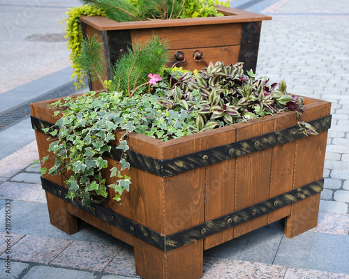 Fotografie Decorative wooden planters with lush ornamental plants beautify a pedestrian zone and enhance urban landscaping, creating an attractive