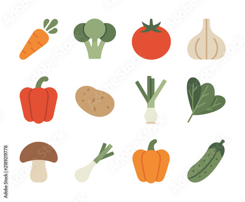 Fresh vegetables vector illustration featuring carrot, broccoli, tomato, garlic, paprika, potato, onion, and cucumber for organic food design