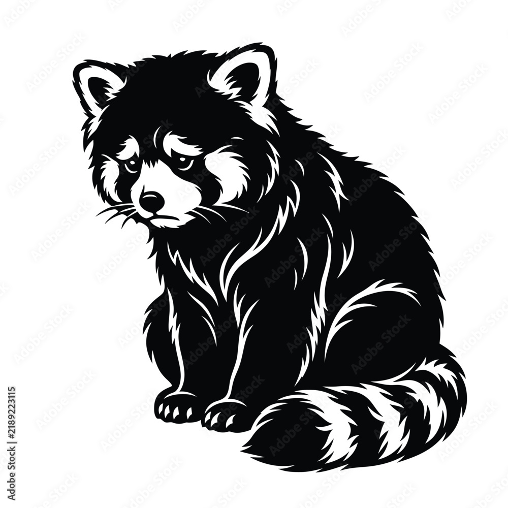 Fototapeta premium Black and white of a sitting red panda animal mammal