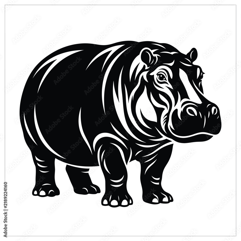 Fototapeta premium Black and white of a standing hippopotamus animal wildlife