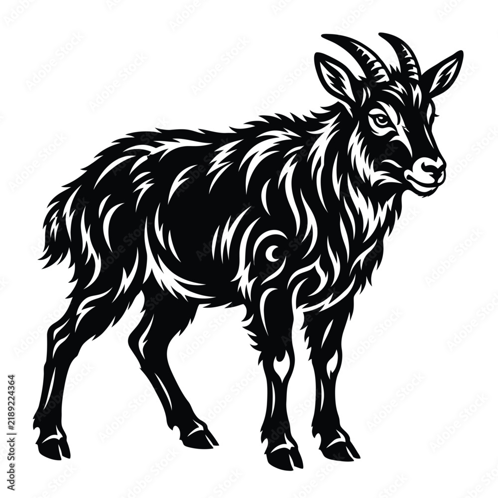 Obraz premium Black and white of a standing mountain goat animal