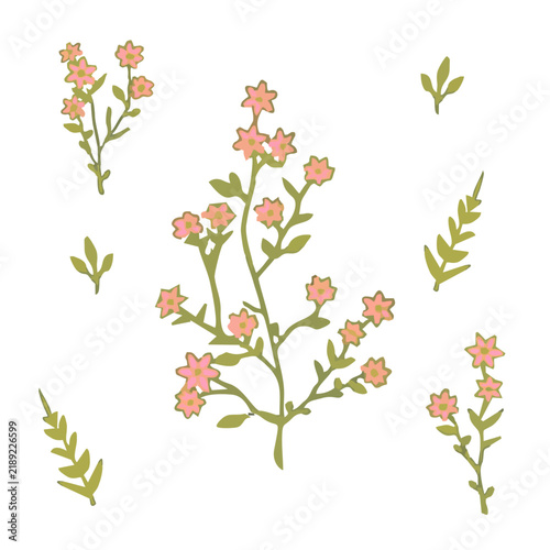 Spring flowers illustrations. Vector floral with small flowers in pink and green tones. For spring, summer prints, packaging, cute stationery, kitchen decor, fabric design, textiles