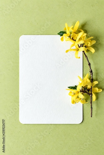 Blank white paper card mockup with yellow spring flowers on light green background flat lay