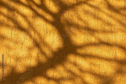 Tree branch natural shadows overlay on textured yellow wall background in golden hour sunlight