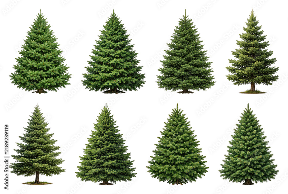 Obraz premium PNG Set of realistic evergreen tree cutouts isolated on transparent background transparent background