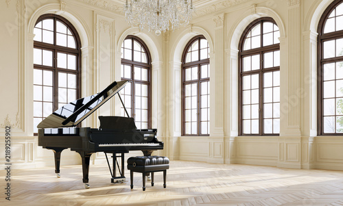  a spacious private music salon in an elegant European country mansion