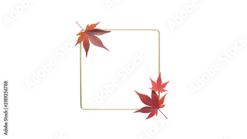 Autumn maple leaves square frame isolated on transparent background