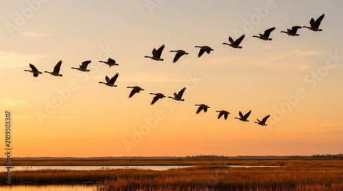 A flock of geese soar over a marshland during a golden sunset, evoking serenity and freedom.