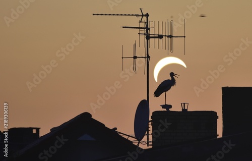 A stork stands on the chimney of a building, its black silhouette outlined against the orange sky during a solar eclipse. A television antenna is nearby.
