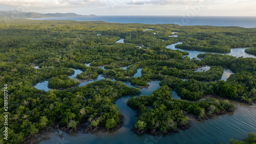 Aerial view of dense mangrove forest along winding river with clear waterways and small boats