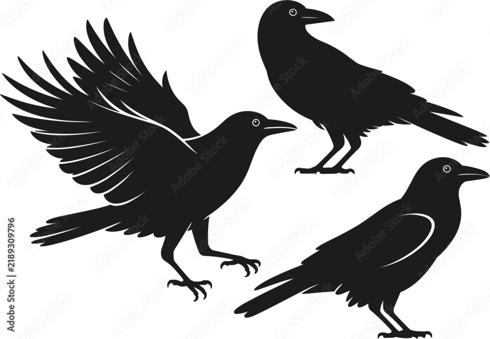 Fototapeta premium Crow silhouette vector illustration, set of black birds, wildlife animal graphic element, nature design