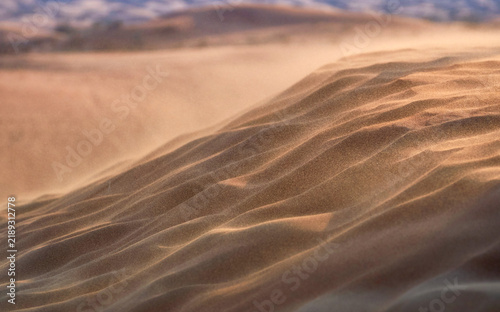 Sand dunes in the desert in the UAE
