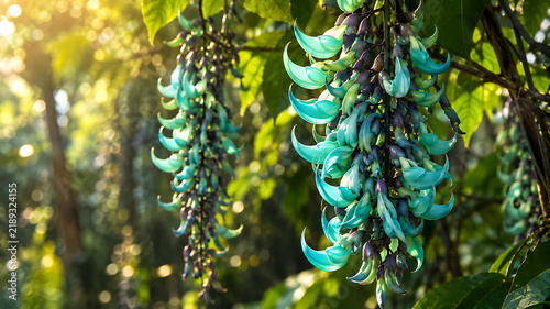 Close-up of hanging blue and green flowers in a natural outdoor setting with sunlight