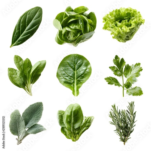 a set of different fresh green vegetables and leaves isolated on white background