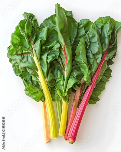 fresh chard bunch farm harvest isolated on white background
