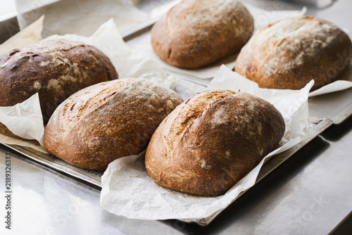 Freshly baked artisan sourdough bread made with a natural wheat starter displayed on a bakery counter. Rustic handcrafted loaves with crispy golden crust. Homemade baking concepts.