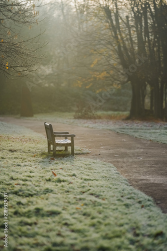 Fotografie A wooden bench overlooks a frosty park landscape with autumn trees and a quiet pathway disappearing into soft morning mist