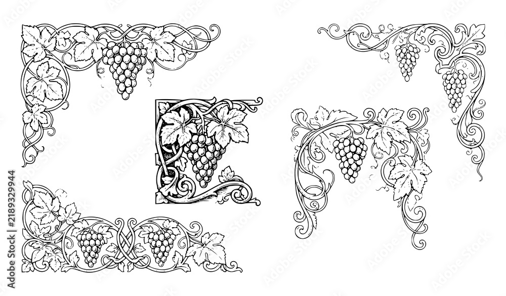 Obraz premium Black and White Grape Vine Corner Ornaments Decorative Botanical Vector Set