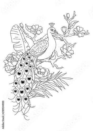 Illustration of line peacock on branch. Tropical exotic bird. Wild fauna of jungle.