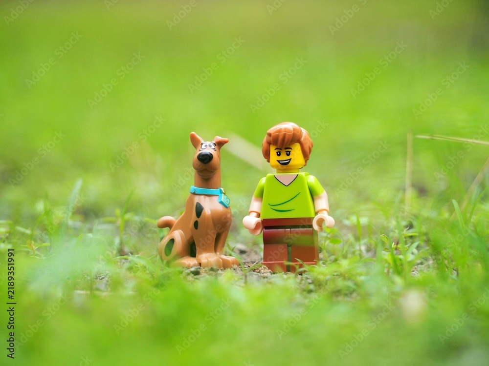 Obraz premium Indonesia - April 23, 2023 : Mini toy of action figure at grassland with blurred background. Miniature photography concept. Scooby Doo and Shaggy Rogers character at outdoor conceptual design.