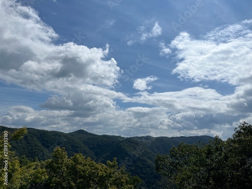 臥牛山からの風景