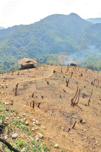 A view of the hills of Nagaland—home to the Konyak tribe—featuring forest burned for cultivation.